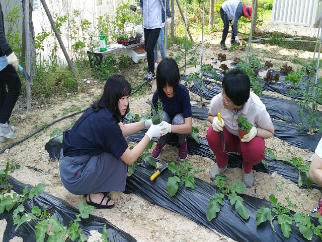  자원봉사자가 이용자와 함께 식물을 심고 있습니다.